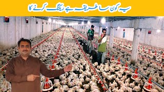 Control shed Broiler Chicken Day 23  broiler chicken poultry farming  Amin Hamid Dar [upl. by Nyladnohr]