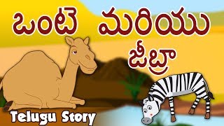 కిడ్స్ కోసం తెలుగు కథలు  Telugu Stories for Kids  The Camel and the Zebra  Kids Animated Stories [upl. by Johnsson]