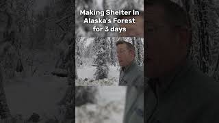 Building a Survival Shelter For 3 Days in Alaskas Forest [upl. by Wood]