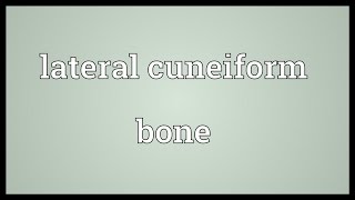 Lateral cuneiform bone Meaning [upl. by Moneta]