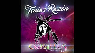 Cuisillos  Tenías Razón Audio [upl. by Sterrett]