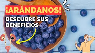 Beneficios de los Arándanos Propiedades y Usos para la Salud  Fruta Antioxidante shorts salud [upl. by Eveivaneg]