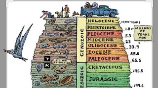 Part 4 Stratigraphy Biostratigraphy and Chronostratigraphy Geology Stratigraphy OnlineCourses [upl. by Hanae440]