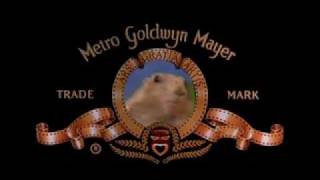 Drama Prairie Dog  MGM Edition [upl. by Ahsenot]