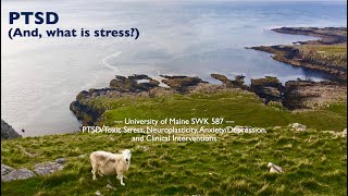 SWK 587  Lecture 39 — PTSD And what is stress [upl. by Ocsic]