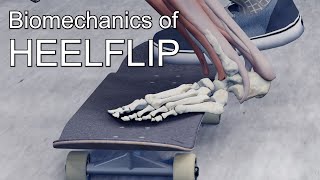 Heelflip Trouble Shooting  Land every try with science [upl. by Emaj659]