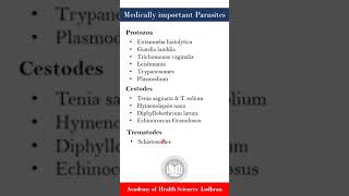 Important Parasites  Medical Parasitology  by Imran Yaseen [upl. by Ecarret]