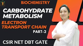 Introduction to Electron Transport Chain [upl. by Keith449]