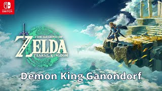 Demon King Ganondorf  Zelda Tears of the Kingdom  100 Walkthrough Playthrough Guide 209 [upl. by Hterrag]