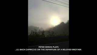 Peter Serkin JS Bach Capriccio on the departure of a beloved brother [upl. by Silyhp]