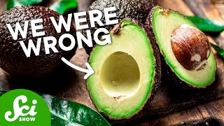 Everyone Was Wrong About Avocados  Including Us [upl. by Nnaeinahpets]