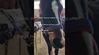 SLEIPIIII🔥✨️❤️💅 fypシ゚viral equestrian equine [upl. by Anav]