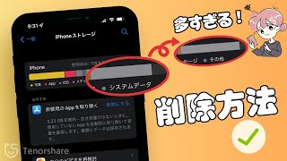 【iPhoneiPad】システムデータ（その他）が多すぎる！減らす方法を解説 [upl. by Leciram]