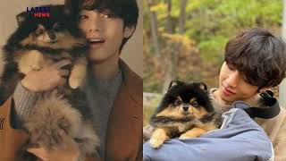 BTS V Shares Heartbreaking News Beloved Dog Yeontan Passes Away [upl. by Grizelda]