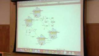 Protein Synthesis Translation by Kevin Ahern Part 4 of 7 [upl. by Gabrila90]