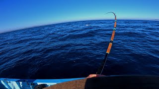 WIDE OPEN YELLOWTAIL FISHING ON SURFACE IRONS AT CEDROS ISLAND BCS  RAW FOOTAGE  POV [upl. by Dewayne]