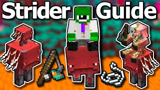 Ultimate Minecraft 120 Strider Guide  How To Ride Striders Fast Breeding Warped Fungus [upl. by Hcelemile]