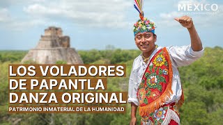 La ceremonia ritual de los Voladores de Papantla  Pájaros de la Tierra  Patrimonio Inmaterial [upl. by Ardnoek]