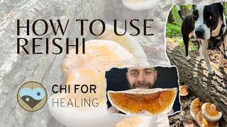 How To Use Reishi Mushrooms After Harvesting [upl. by Ihcalam]