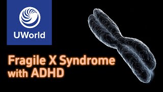 Fragile X Syndrome  symptomsdiagnosis  USMLE UWorld Step 1 Questions MBBS PLAB [upl. by Harberd]