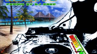 AZONTO  DJSAKE REMIX 2012 [upl. by Maximo696]