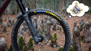 The King Of MTB Tires  Michelin DH22 Review [upl. by Christoforo]