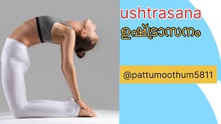 021124 പതഞ്ജലി യോഗ ushtrasana ഉഷ്ട്രാസനം [upl. by Anneehs293]