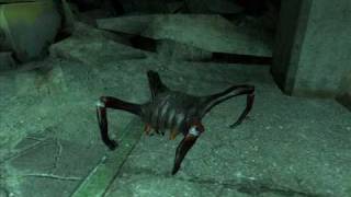 Half Life 2  Black Headcrab Sounds [upl. by Risa]