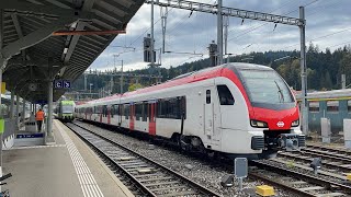 SBB FLIRT EVO bei der Ausfahrt in Langnau iE [upl. by Mortimer]