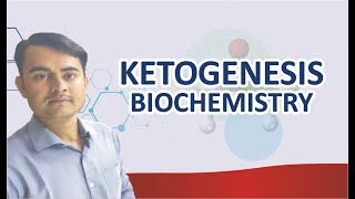 KETOGENESIS BIOCHEMISTRY SIMPLIFIED [upl. by Awahsoj]