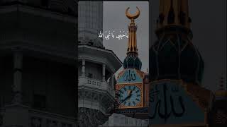 Assalam o Alika ya Ya RasoolAllah Sawviral naat short 2024 Islamic Touch By Savera fatima [upl. by Sherris]