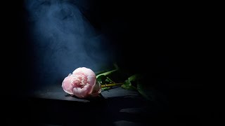 Lighting tips and techniques for creative still life photography [upl. by Samuel]