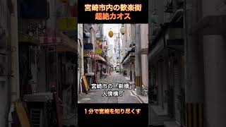 【これが宮崎⁈】完全にイメージ崩壊！観光客を魅了する驚きの実態とは？歓楽街がカオス。 [upl. by Yeleak]