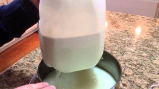 How to make heavy cream or Half and half from Raw milk [upl. by Clercq]