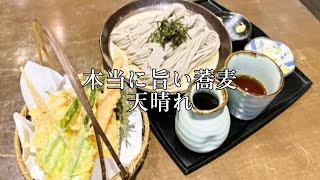 【本当に旨い店】新潟の旨い蕎麦屋🌟🌟🌟厳選 新発田市 十割そば麦打ち 天晴れ 40代独身一人旅 [upl. by Publia217]