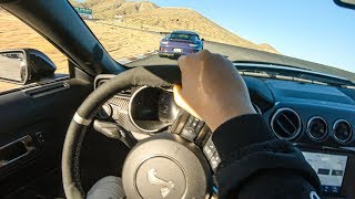 2020 SHELBY GT500 DOMINATES PORSCHE 911 GT3RS AND ZL1 1LE ON THE RACETRACK [upl. by Burty]