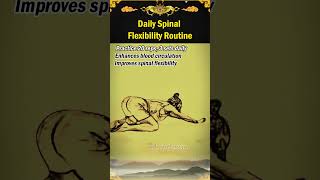 Daily Spinal Flexibility Routine [upl. by Karry]