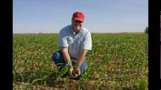 Texas Corn on Drip Irrigation  Part 1 [upl. by Selig]