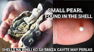 PERLAS Nakuha ko sa Loob ng Shell  Natural na Yaman nabili sa Tanza Cavite  Philippine Pearl [upl. by Sax]