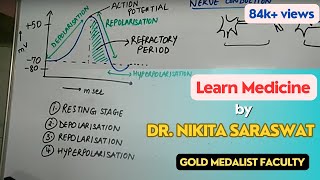 Nerve Conduction amp Action Potential  Depolarization Repolarization Transmission Nervous System [upl. by Edme794]