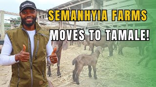 Semanhyia Farms SETS UP THE FIRST COMMUINITY LIVESTOCK ENHANCEMENT CENTER IN NORTHERN GHANA [upl. by Eadwina974]