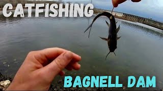 Catfishing below Bagnell Dam at Lake of the Ozark’s [upl. by Aneeras]