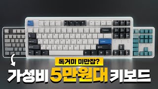 5만원 대 가성비 키보드 독거미를 잡을 수 있을까 [upl. by Eelrahs]