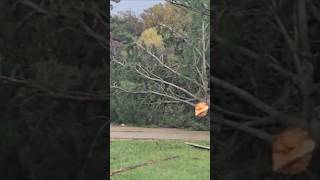 Foristell tornado damage 1152024 youtubehighfive youtubeshorts [upl. by Natsyrt131]