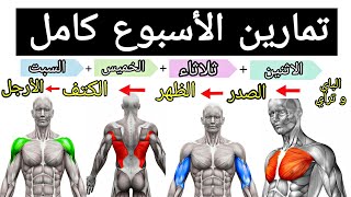 خطة تدريبية لمدة اسبوع كامل لبناء العضلات  تمارين كمال الأجسام [upl. by Farr505]