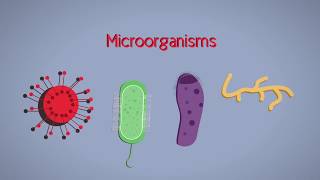 What are pathogens [upl. by Lieberman]