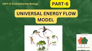 Universal Energy Flow Model  Environmental science [upl. by Noroj]