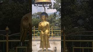 Swayambhunath Temple Kathmandu [upl. by Yremrej26]