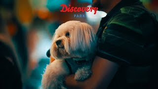 Łeba  Discovery Park  2022  PROMO VIDEO [upl. by Serilda]