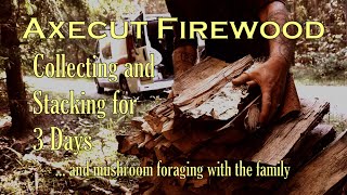 Stacking firewood for Axe Cordwood Challenge Prototype firewood carrier Family picking mushrooms [upl. by Jovitah]